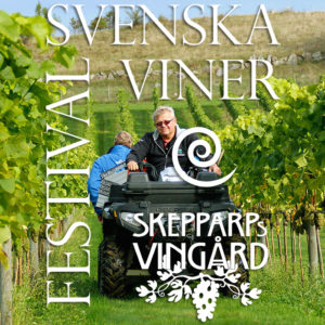 vinfestival_med_logo